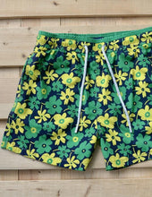 Load image into Gallery viewer, Portulaca