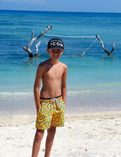 Load image into Gallery viewer, Giraffe