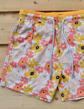 Load image into Gallery viewer, Portulaca