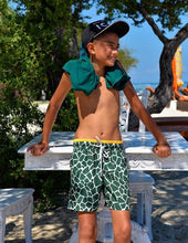 Load image into Gallery viewer, Giraffe