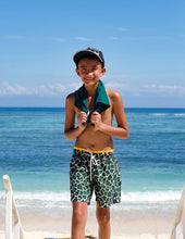 Load image into Gallery viewer, Giraffe