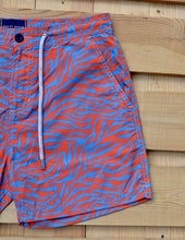 Load image into Gallery viewer, Zebra