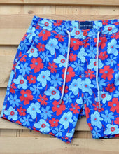 Load image into Gallery viewer, Portulaca