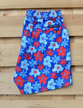 Load image into Gallery viewer, Portulaca