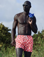 Load image into Gallery viewer, Diamond Stars