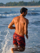 Load image into Gallery viewer, Honeycomb