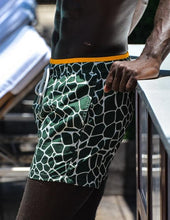 Load image into Gallery viewer, Giraffe