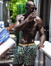 Load image into Gallery viewer, Giraffe