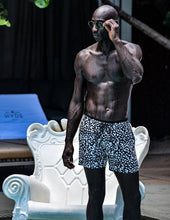 Load image into Gallery viewer, Panther