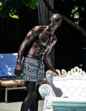 Load image into Gallery viewer, Panther