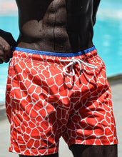 Load image into Gallery viewer, Giraffe