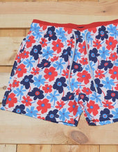 Load image into Gallery viewer, Portulaca