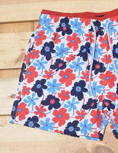 Load image into Gallery viewer, Portulaca