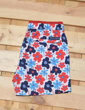 Load image into Gallery viewer, Portulaca