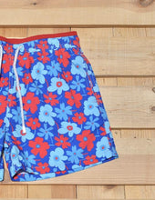 Load image into Gallery viewer, Portulaca