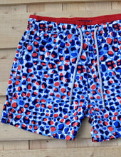 Load image into Gallery viewer, Leopard
