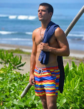 Load image into Gallery viewer, Rainbow
