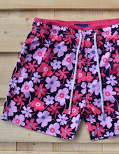 Load image into Gallery viewer, Portulaca
