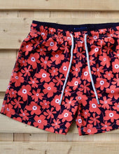 Load image into Gallery viewer, Portulaca
