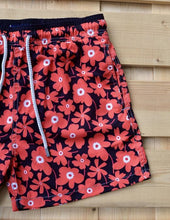 Load image into Gallery viewer, Portulaca
