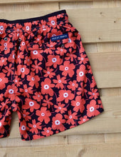 Load image into Gallery viewer, Portulaca
