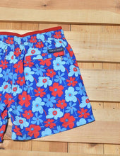 Load image into Gallery viewer, Portulaca
